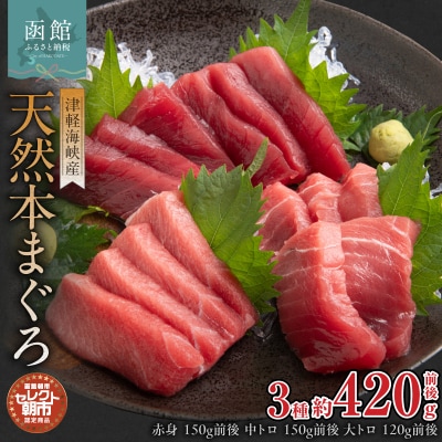 セレクト朝市「津軽海峡産天然本まぐろ」赤身中トロ150g前後、大トロ120g前後_HD009-033