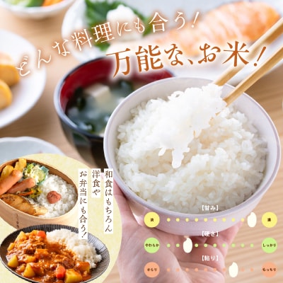 【R7年産】北海道産ふっくりんこ 5kg_HD198-002