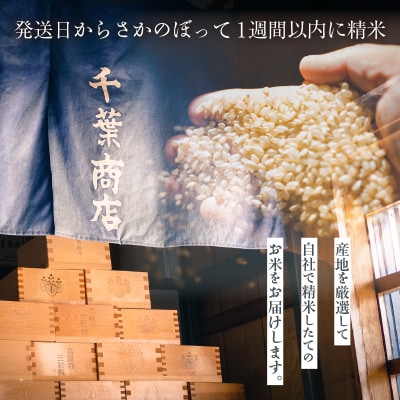 【R7年産 新米】北海道産ふっくりんこ 5kg_HD198-002