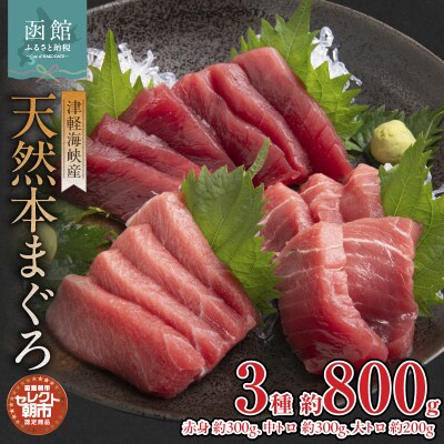セレクト朝市「津軽海峡産本まぐろ」赤身約300g中トロ約300g大トロ約200g_HD009-034