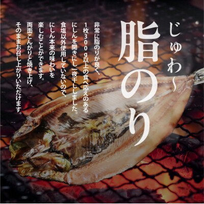 開きにしん 5枚セット_HD087-020