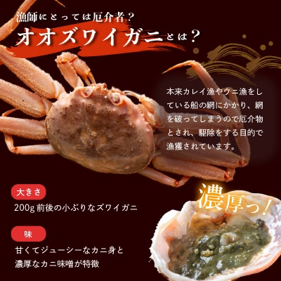 【先行受付】【訳あり】浜茹でオオズワイガニ 2kg 詰めセット 北海道噴火湾産_HD206-001
