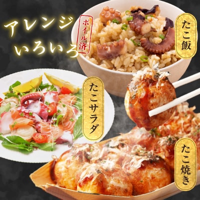 北海道函館産 真ダコ タコ足 太い1本足 800g_HD146-003