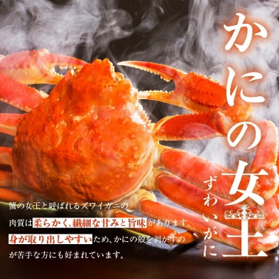 ずわいがに脚 3L～5Lサイズ2.6kg_HD065-007