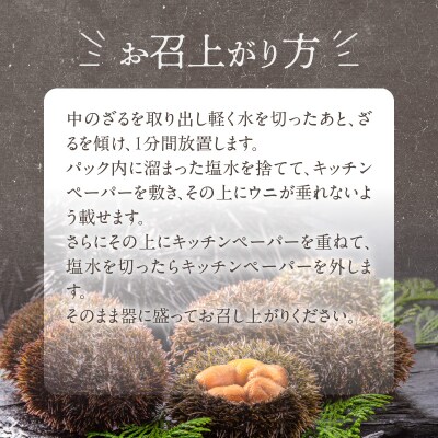 函館産　世壱屋塩水ウニ(ムラサキウニ)100g_HD173-001