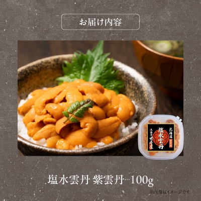 函館産　世壱屋塩水ウニ(ムラサキウニ)100g_HD173-001