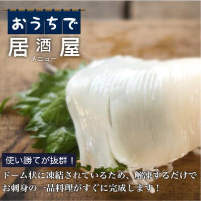 【道水】お刺身いかそうめん業務用 (約550g×2パック)北海道直送_HD108-027
