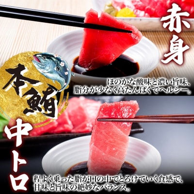 大間産 本マグロ 2種 赤身 約160g 中トロ 約160g_HD144-010