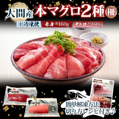 大間産 本マグロ 2種 赤身 約160g 中トロ 約160g_HD144-010