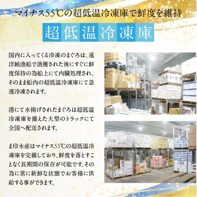 【訳あり】函館産 本まぐろづくし(300g×2パック)_HD109-010