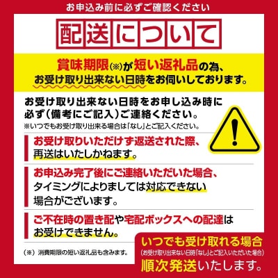 無添加塩水ウニパック(100g) ×4個セット_HD069-034