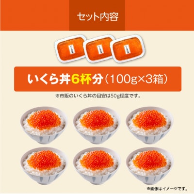 北海道産いくら 100g×3箱_HD117-031