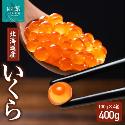 北海道産いくら 100g×4箱_HD117-032