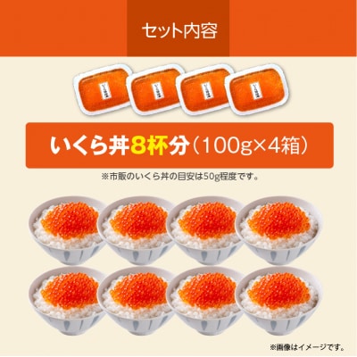 北海道産いくら 100g×4箱_HD117-032