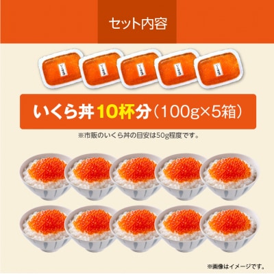 北海道産いくら 100g×5箱_HD117-033
