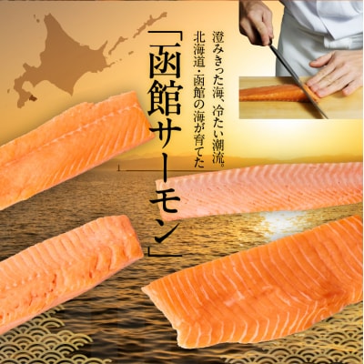 【2026年6月発送　先行予約】函館サーモン(450g)_HD231-018