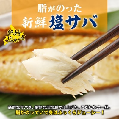 塩サバフィレ 約750g(約150g×5枚)_HD214-005