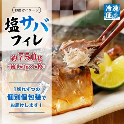 塩サバフィレ 約750g(約150g×5枚)_HD214-005
