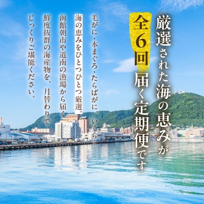 はこだて海の幸定期便 50万円(全6回)_HS001-006