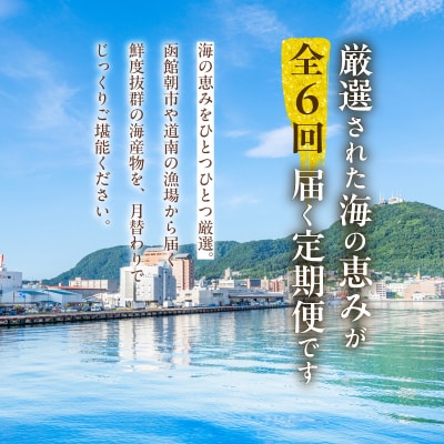 はこだて海の幸定期便 50万円(全6回)_HS001-006