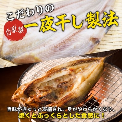 縞ホッケ半身 約900g(約225g×4枚)_HD214-008