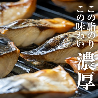 訳あり 北海道ニッスイ ふり塩仕立てサバ切身 3kg(1.5kg×2)_HD247-001