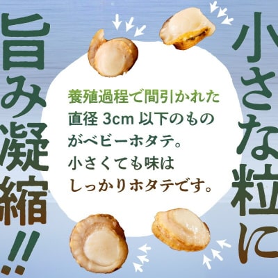 北海道噴火湾産 ボイルベビーホタテ_HD145-002