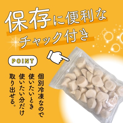 【訳あり】北海道噴火湾産ホタテ貝柱 500g_HD117-043