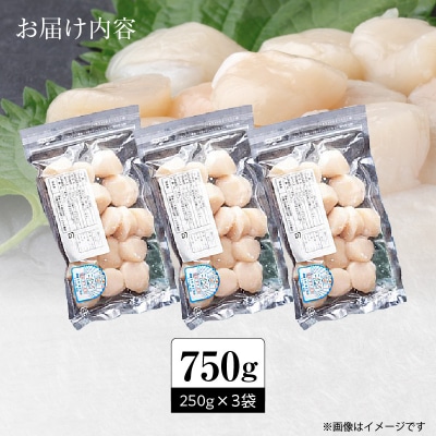 【訳あり】北海道噴火湾産ホタテ貝柱 250g×3袋_HD117-044