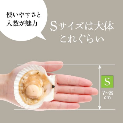北海道噴火湾産ホタテ片貝 (Sサイズ/15枚×2袋)【計30枚】_HD117-035　