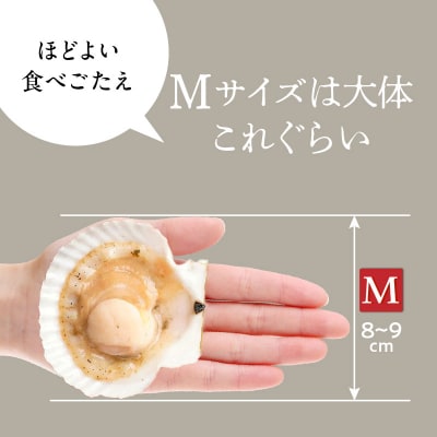 北海道噴火湾産ホタテ片貝 (Mサイズ/10枚×1袋)【計10枚】_HD117-037