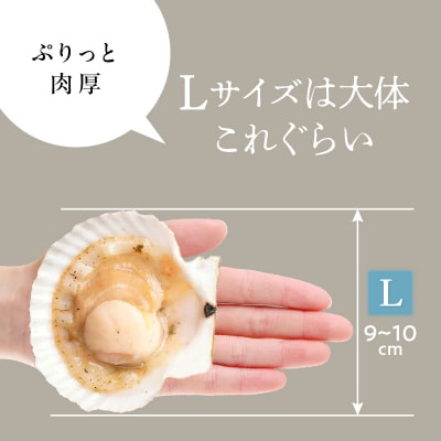 北海道噴火湾産ホタテ片貝 (Lサイズ/10枚×3袋)【計30枚】_HD117-042