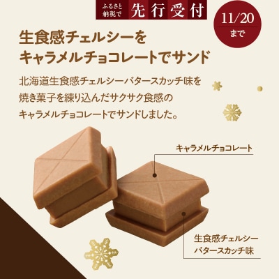 北海道生食感チェルシーキャラメルサンドと北海道生食感チェルシー2種のセット_HD207-002