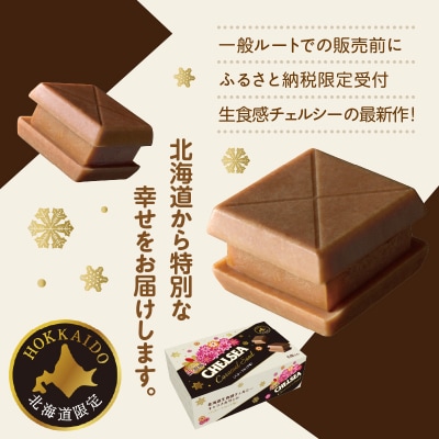 北海道生食感チェルシーキャラメルサンドと北海道生食感チェルシー2種のセット_HD207-002