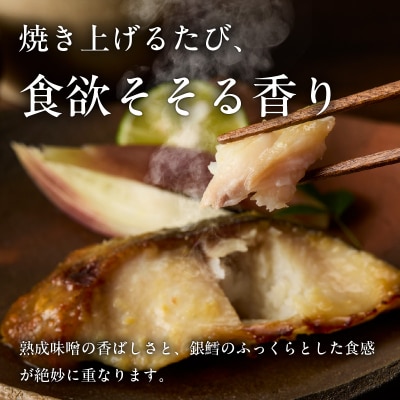 銀鱈みそ漬 10切(5切×2パック)_HD139-018