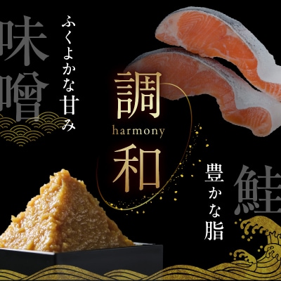 サーモン西京漬 10切(2切×5パック)化粧箱入_HD139-020