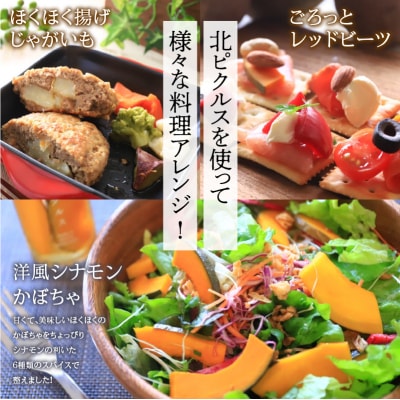 北ピクルス 5瓶セット 化粧箱付_HD195-002