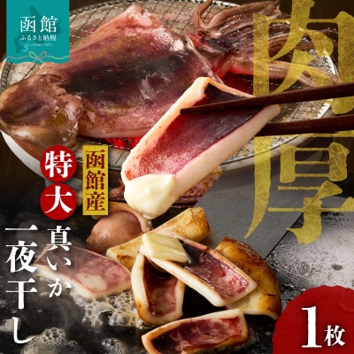 函館産 特大真いか 一夜干し(1枚)_HD010-023