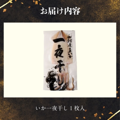 函館産 特大真いか 一夜干し(1枚)_HD010-023