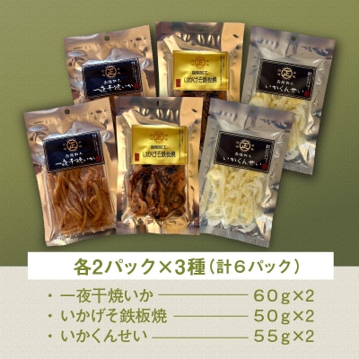 函館珍味いか三昧_HD246-002