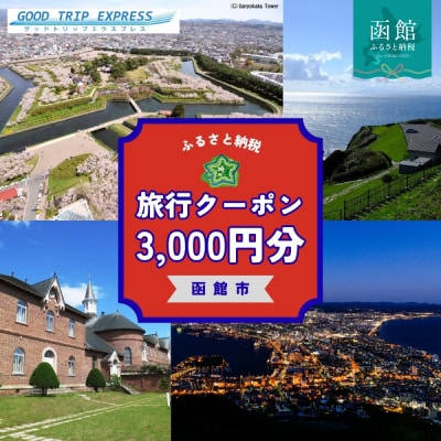 函館市に泊まるふるさと納税旅行クーポン【3,000円分】_HD251-001