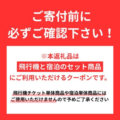 函館市に泊まるふるさと納税旅行クーポン【12,000円分】_HD251-004
