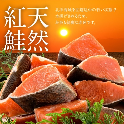 北洋産甘塩天然紅鮭切身3.6kg(切り落とし)_HD272-003