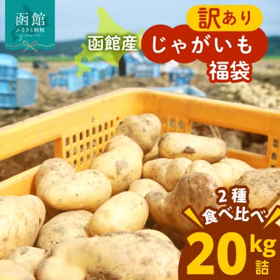 北海道函館産【訳あり】じゃがいも福袋 20kg 詰_HD206-003