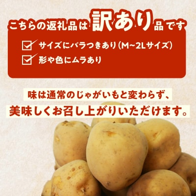 北海道函館産【訳あり】じゃがいも福袋 20kg 詰_HD206-003