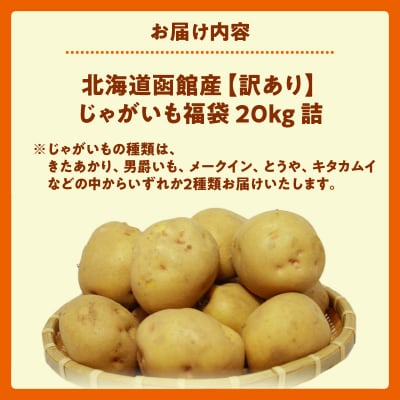 北海道函館産【訳あり】じゃがいも福袋 20kg 詰_HD206-003