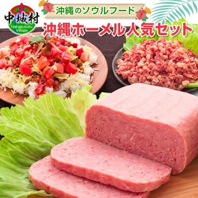 缶詰 レトルト詰め合わせセット1 タコライス缶詰70g 12缶 沖縄のお肉缶詰セット お礼品詳細 ふるさと納税なら さとふる