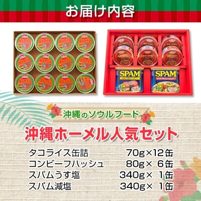 缶詰 レトルト詰め合わせセット1 タコライス缶詰70g 12缶 沖縄のお肉缶詰セット お礼品詳細 ふるさと納税なら さとふる