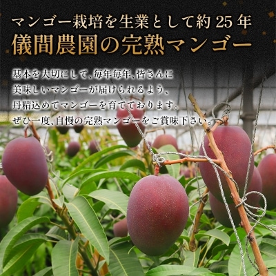 ≪2025年発送≫逸品!儀間農園の完熟マンゴー　秀品1kg