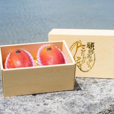 ≪2025年発送≫ 頑固おやじのこだわりマンゴー『匠』優秀品 2個(約1kg)